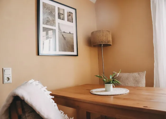 公寓 Denkmalsuites *