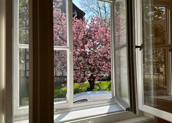 Denkmalsuites * 奎德林堡